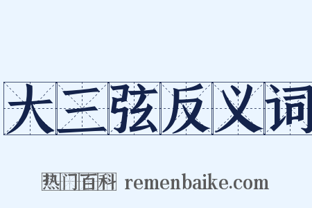 大三弦反义词是什么意思的图片